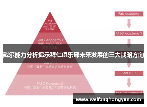 戴尔能力分析揭示拜仁俱乐部未来发展的三大战略方向
