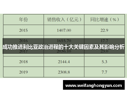 成功推进利比亚政治进程的十大关键因素及其影响分析