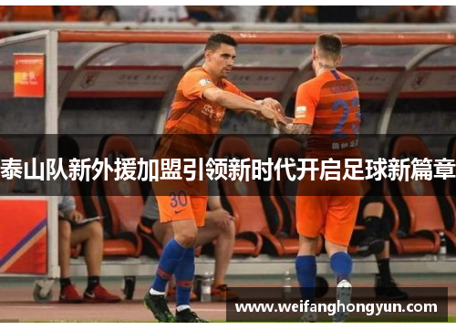 泰山队新外援加盟引领新时代开启足球新篇章